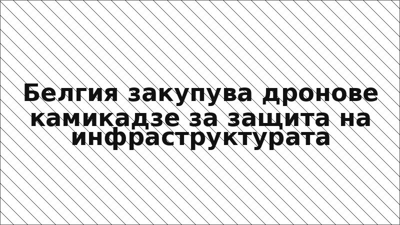 Белгия закупува дронове камикадзе за защита на инфраструктурата