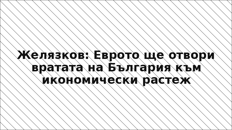 Желязков: Еврото ще отвори вратата на България към икономически растеж