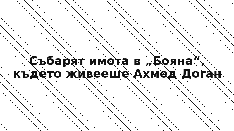 Събарят имота в „Бояна“, където живееше Ахмед Доган