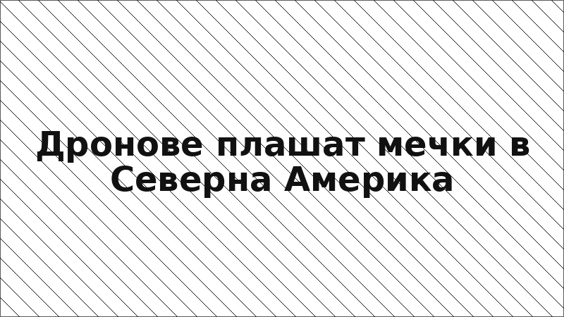 Дронове плашат мечки в Северна Америка