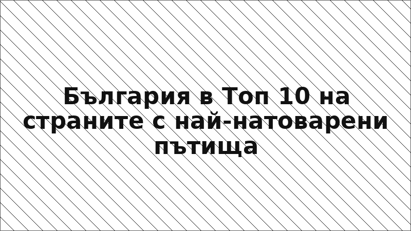 България в Топ 10 на страните с най-натоварени пътища