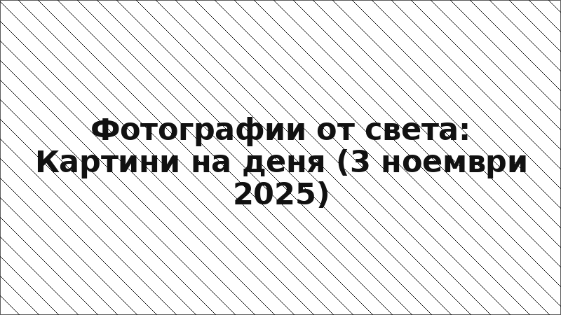 Фотографии от света: Картини на деня (3 ноември 2025)