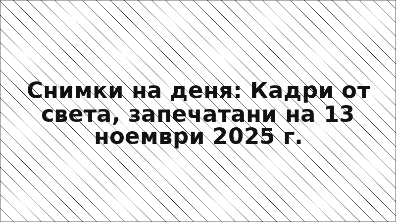 Снимки на деня: Кадри от света, запечатани на 13 ноември 2025 г.