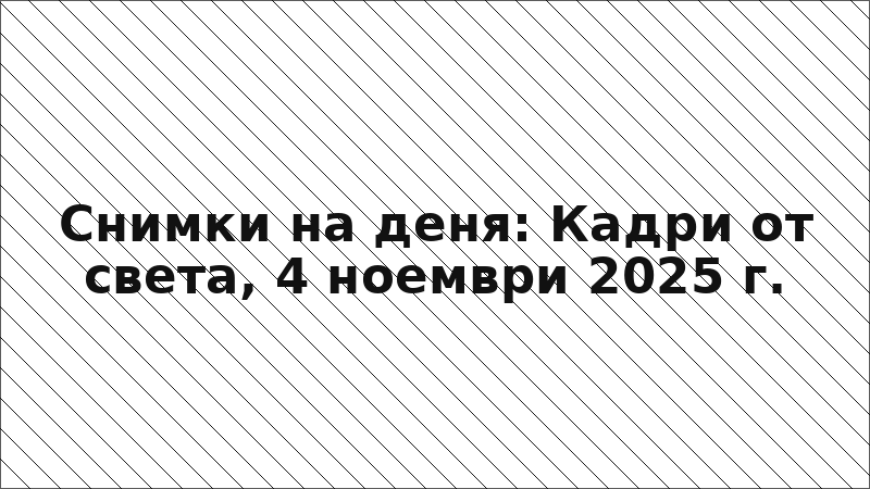 Снимки на деня: Кадри от света, 4 ноември 2025 г.