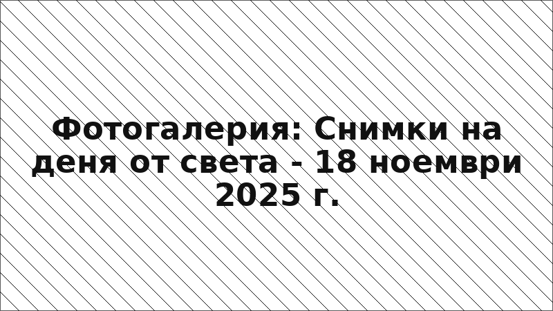 Фотогалерия: Снимки на деня от света - 18 ноември 2025 г.
