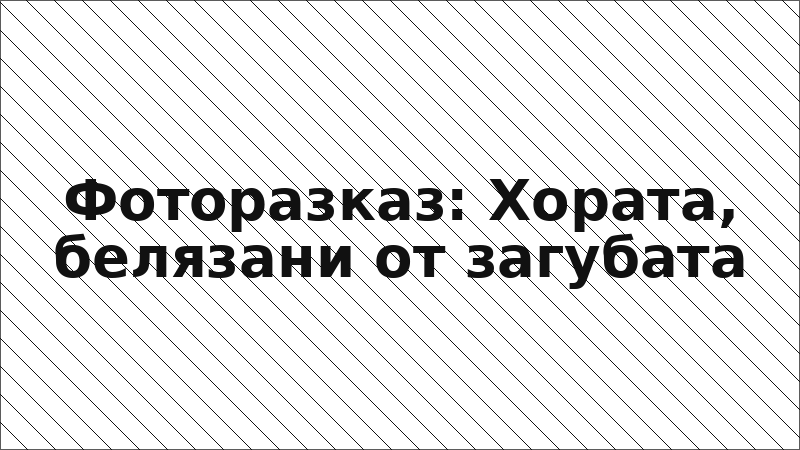 Фоторазказ: Хората, белязани от загубата