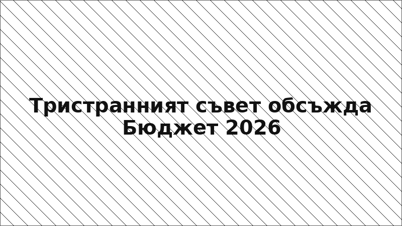 Тристранният съвет обсъжда Бюджет 2026