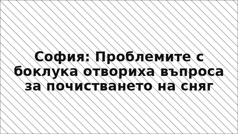 София: Проблемите с боклука отвориха въпроса за почистването на сняг