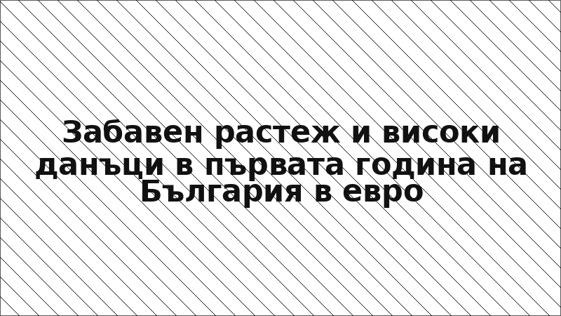 Забавен растеж и високи данъци в първата година на България в евро