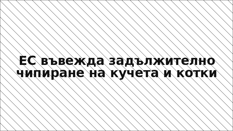 ЕС въвежда задължително чипиране на кучета и котки