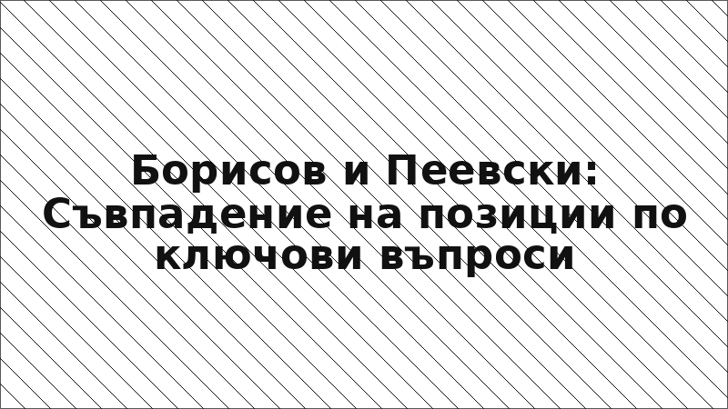 Борисов и Пеевски: Съвпадение на позиции по ключови въпроси