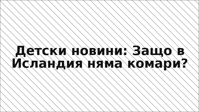 Детски новини: Защо в Исландия няма комари?