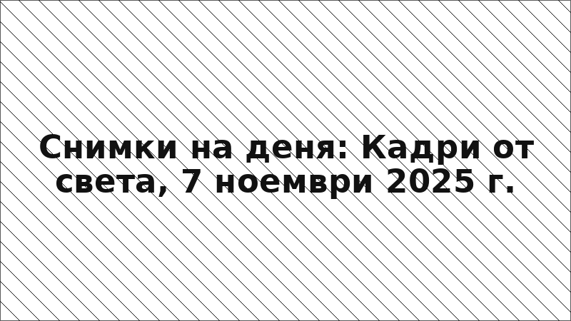 Снимки на деня: Кадри от света, 7 ноември 2025 г.