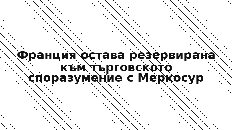 Франция остава резервирана към търговското споразумение с Меркосур