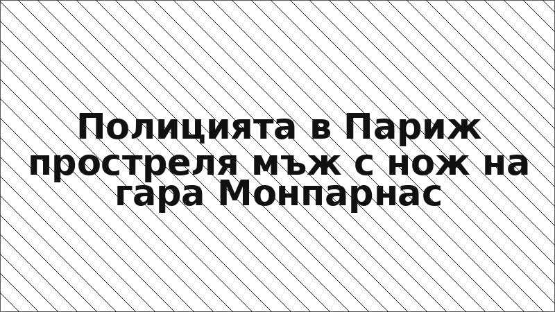 Полицията в Париж простреля мъж с нож на гара Монпарнас