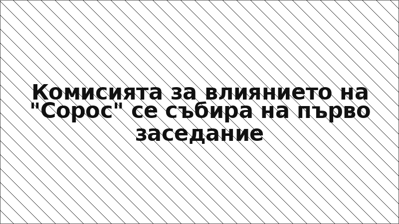 Комисията за влиянието на "Сорос" се събира на първо заседание