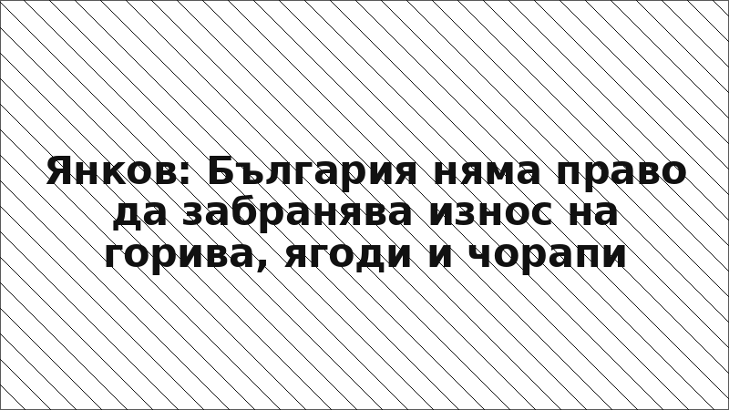Янков: България няма право да забранява износ на горива, ягоди и чорапи
