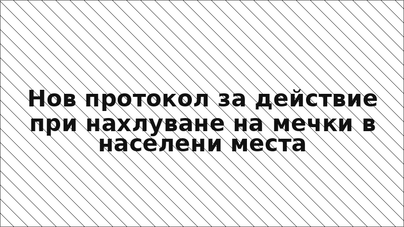 Нов протокол за действие при нахлуване на мечки в населени места
