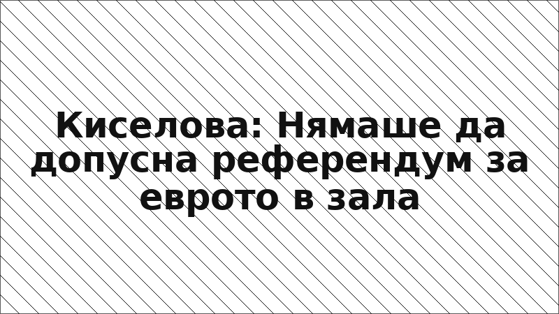 Киселова: Нямаше да допусна референдум за еврото в зала