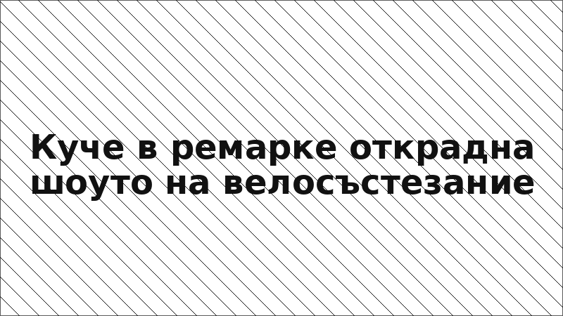 Куче в ремарке открадна шоуто на велосъстезание