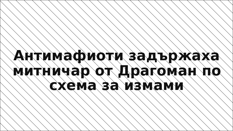 Антимафиоти задържаха митничар от Драгоман по схема за измами