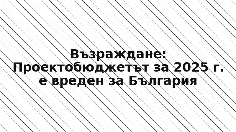 Възраждане: Проектобюджетът за 2025 г. е вреден за България