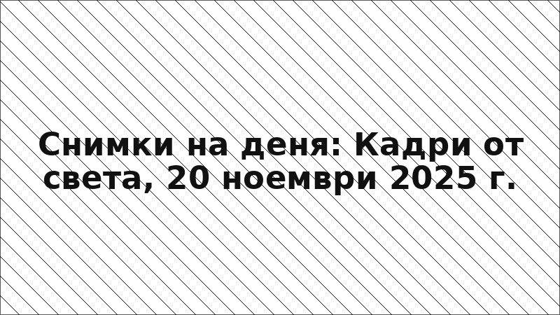 Снимки на деня: Кадри от света, 20 ноември 2025 г.