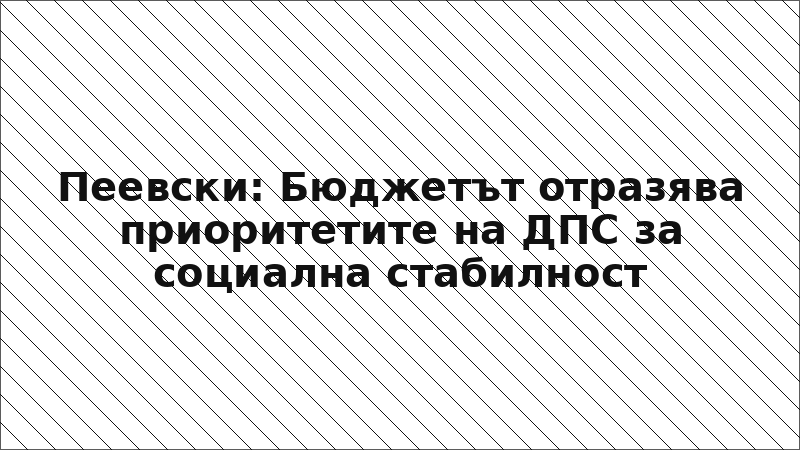Пеевски: Бюджетът отразява приоритетите на ДПС за социална стабилност