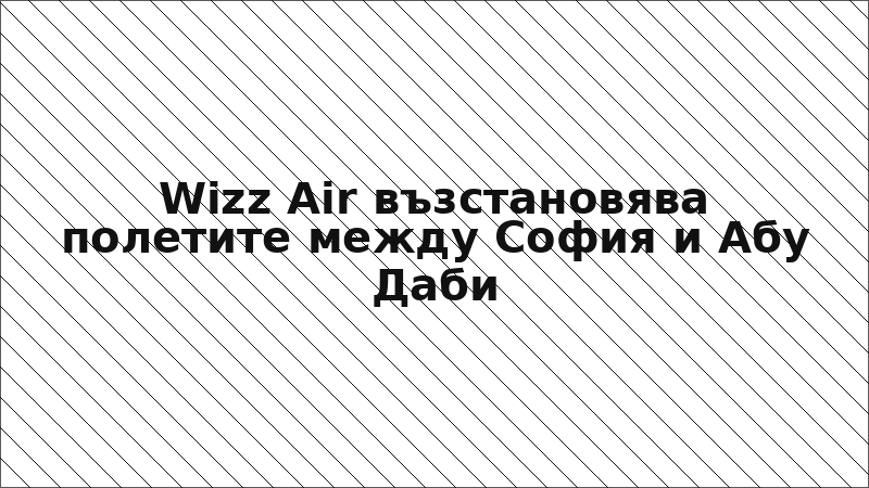Wizz Air възстановява полетите между София и Абу Даби