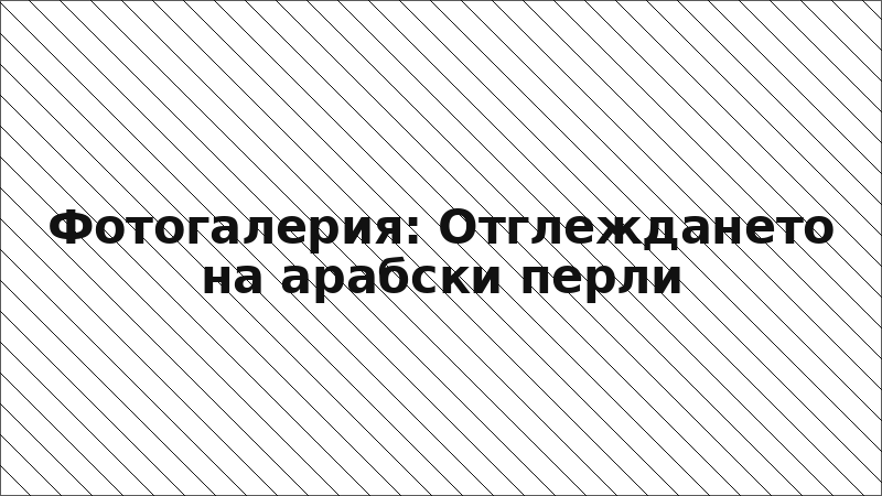 Фотогалерия: Отглеждането на арабски перли