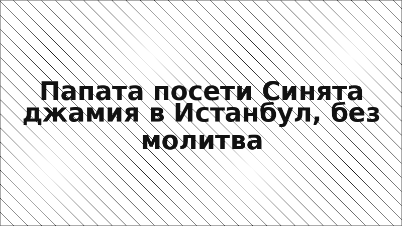 Папата посети Синята джамия в Истанбул, без молитва