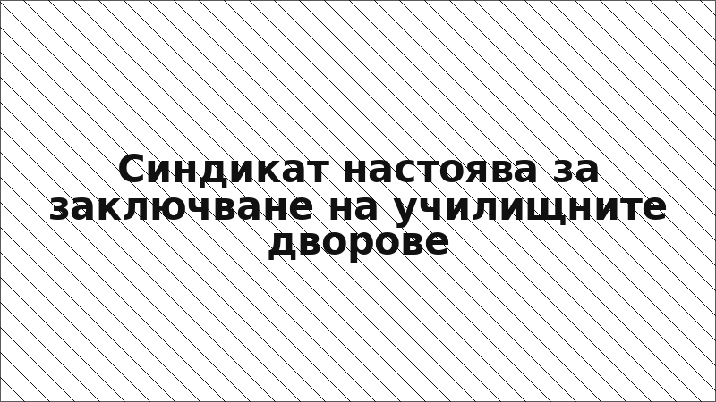 Синдикат настоява за заключване на училищните дворове
