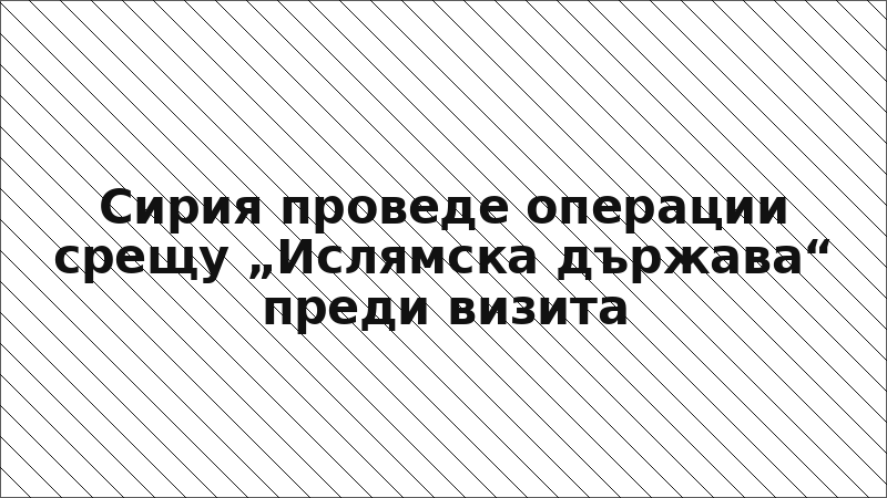Сирия проведе операции срещу „Ислямска държава“ преди визита