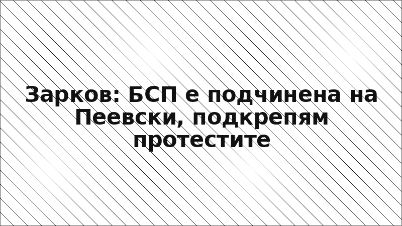 Зарков: БСП е подчинена на Пеевски, подкрепям протестите