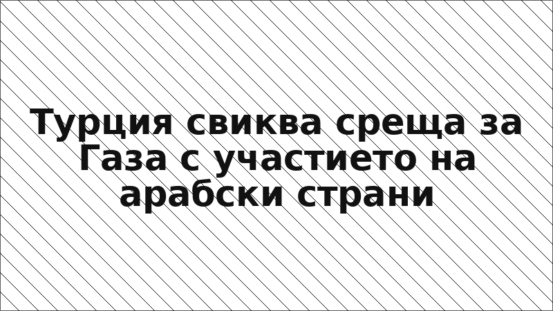 Турция свиква среща за Газа с участието на арабски страни