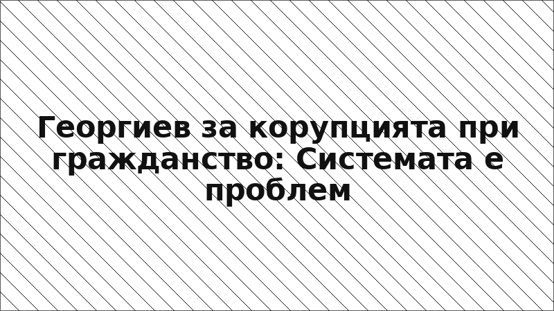 Георгиев за корупцията при гражданство: Системата е проблем