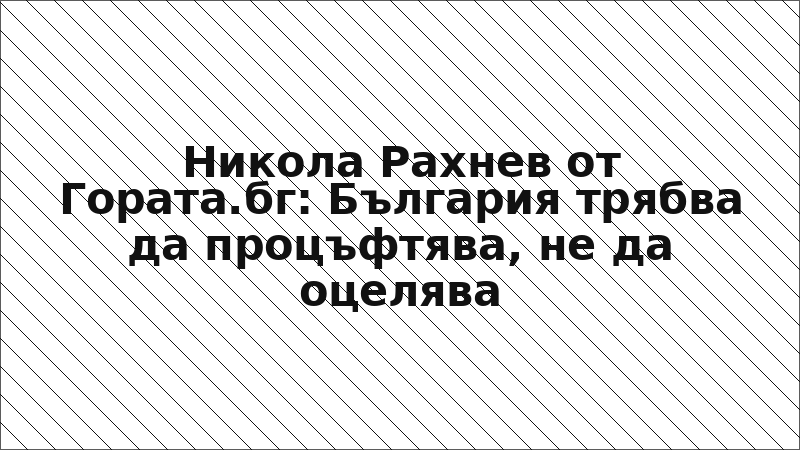 Никола Рахнев от Гората.бг: България трябва да процъфтява, не да оцелява