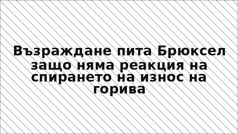 Възраждане пита Брюксел защо няма реакция на спирането на износ на горива