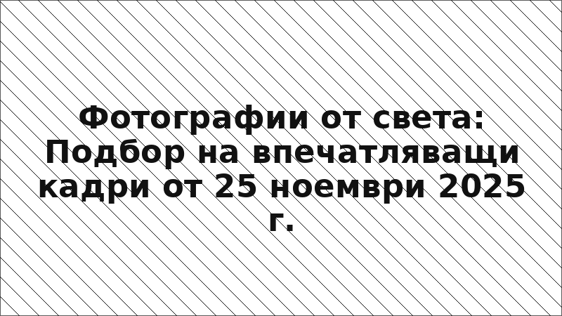 Фотографии от света: Подбор на впечатляващи кадри от 25 ноември 2025 г.