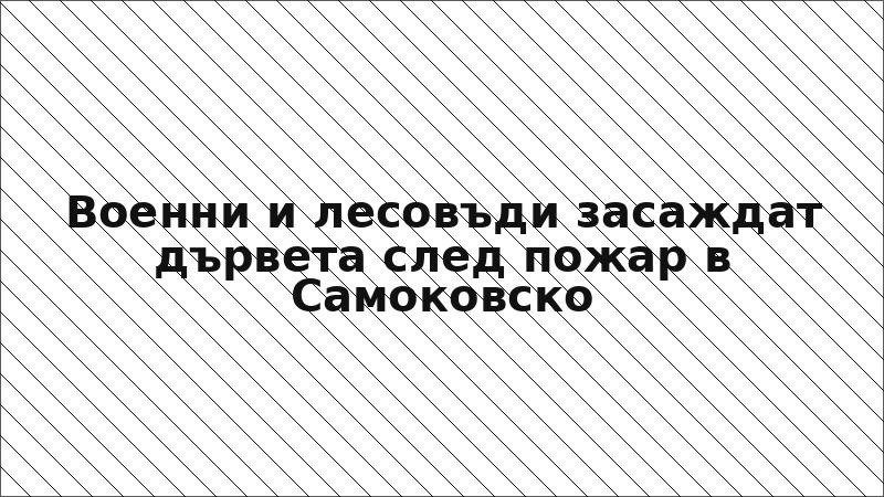 Военни и лесовъди засаждат дървета след пожар в Самоковско
