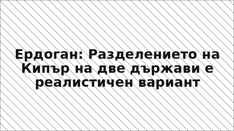 Ердоган: Разделението на Кипър на две държави е реалистичен вариант