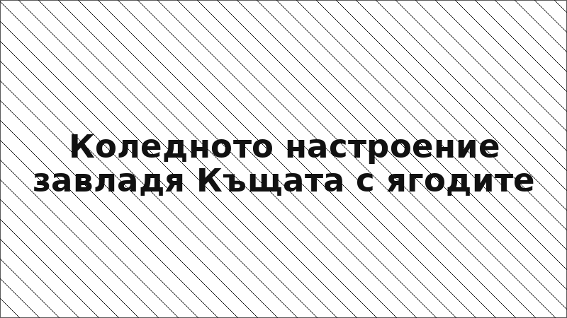 Коледното настроение завладя Къщата с ягодите