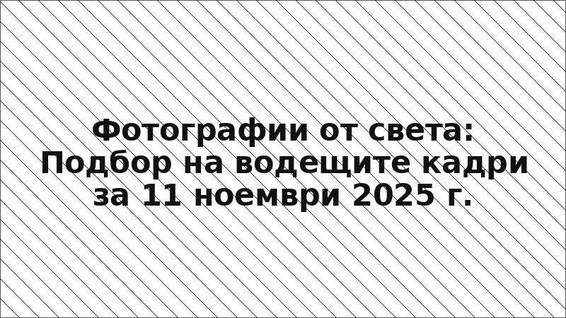 Фотографии от света: Подбор на водещите кадри за 11 ноември 2025 г.