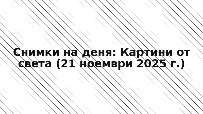 Снимки на деня: Картини от света (21 ноември 2025 г.)