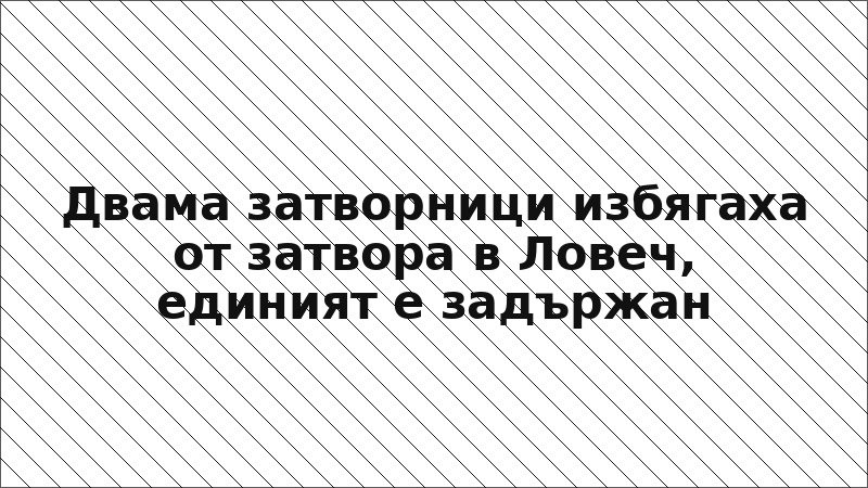 Двама затворници избягаха от затвора в Ловеч, единият е задържан