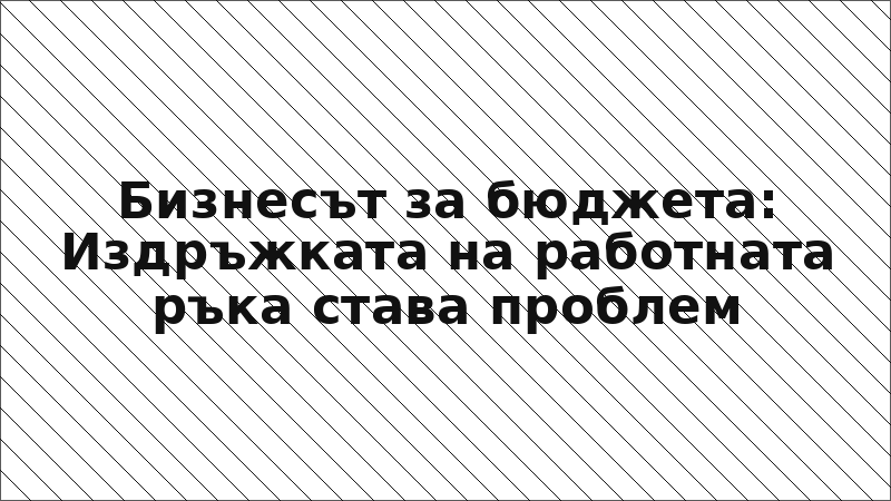 Бизнесът за бюджета: Издръжката на работната ръка става проблем