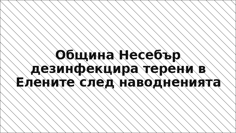 Община Несебър дезинфекцира терени в Елените след наводненията