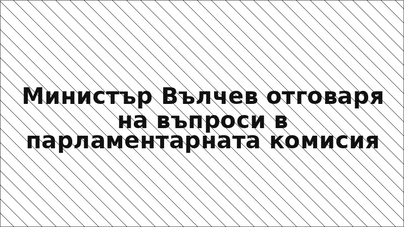 Министър Вълчев отговаря на въпроси в парламентарната комисия