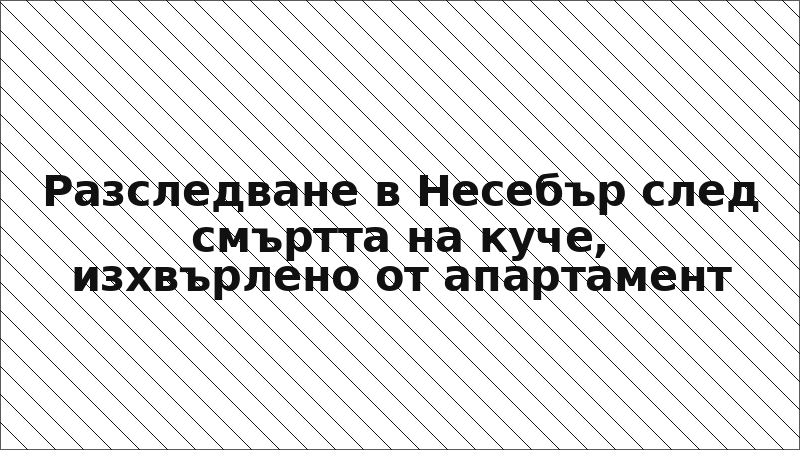Разследване в Несебър след смъртта на куче, изхвърлено от апартамент
