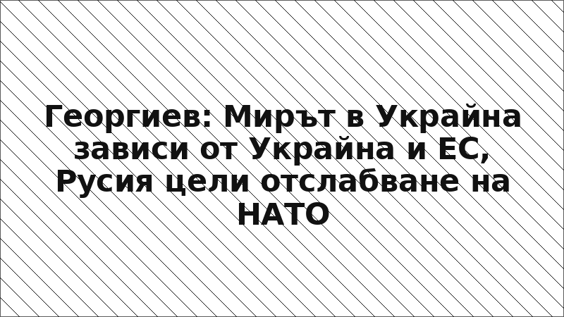 Георгиев: Мирът в Украйна зависи от Украйна и ЕС, Русия цели отслабване на НАТО